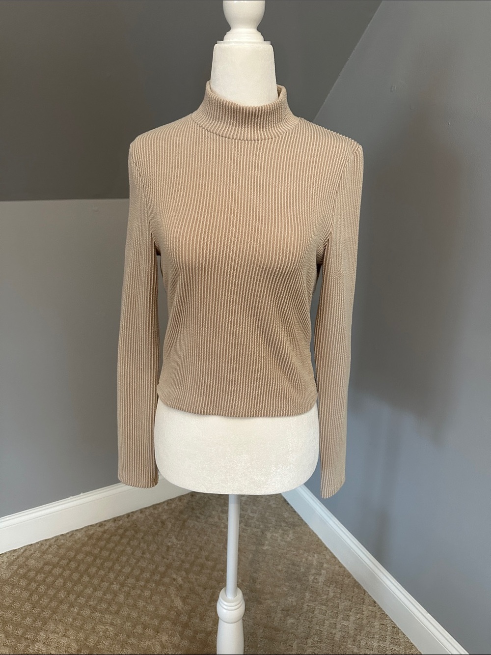 Women's Ribbed Mock Neck Long Sleeve Top in Beige